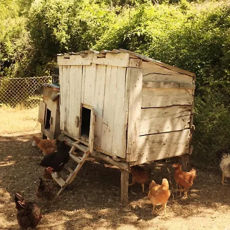 Bujtina Milani * Theth