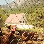 Bed & Breakfast Bujtina Milani *